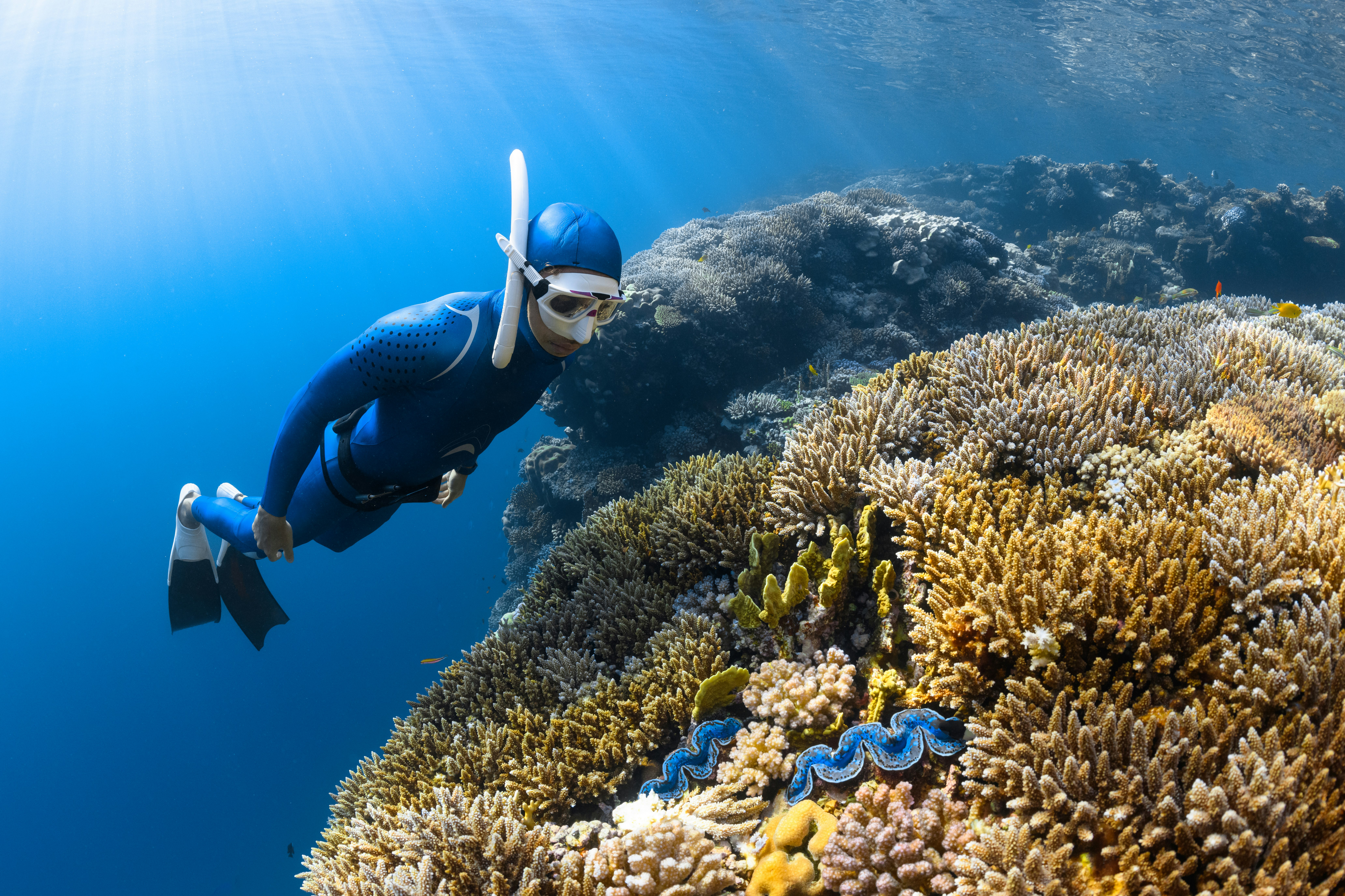 Aerial view of coral atoll and deep channel